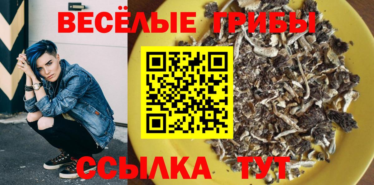 Бузулук  Псилоцибиновые грибы GOLDEN TEACHER  Вход с VPN 