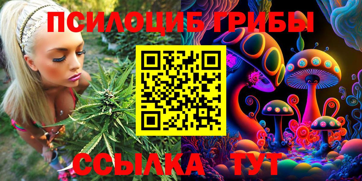 Псилоцибиновые грибы Psilocybine cubensis Бузулук